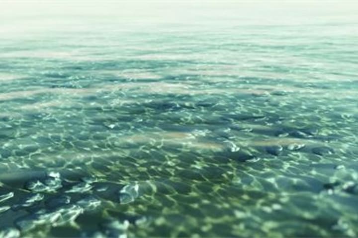 water purifier for salt water