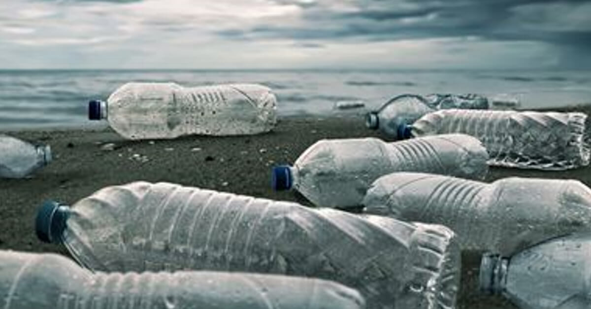 plastic particles in water bottle