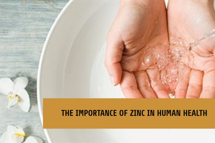 benefits of zinc